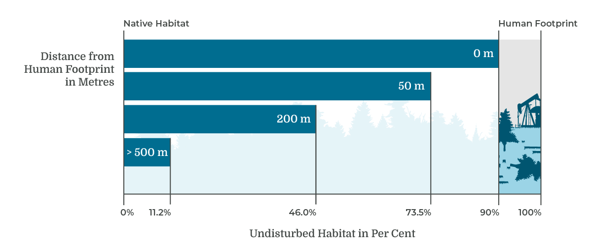 Infographic displaying the percentage of human footprint and interior native habitat at different buffer distances, within Tolko's Northern Operating Area.