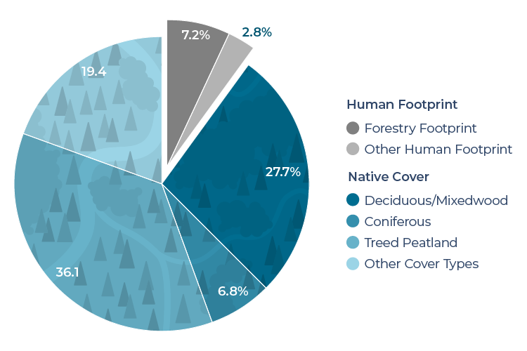 Infographic displaying the per cent cover of different categories of human footprint and native cover.