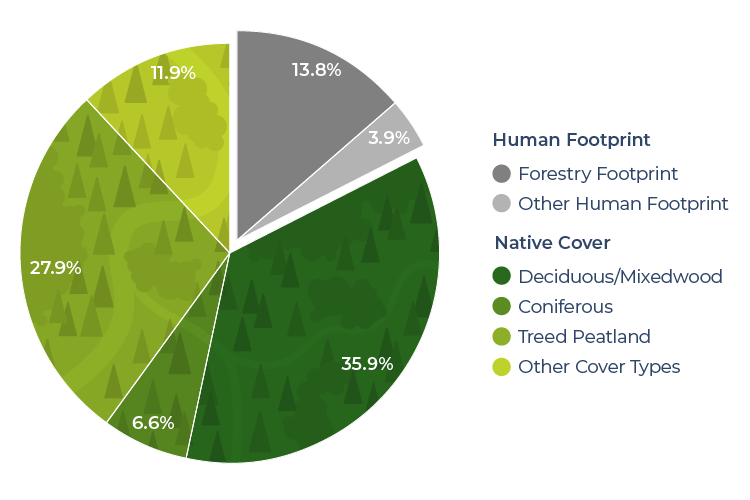 Infographic displaying the per cent cover of different categories of human footprint and native cover.