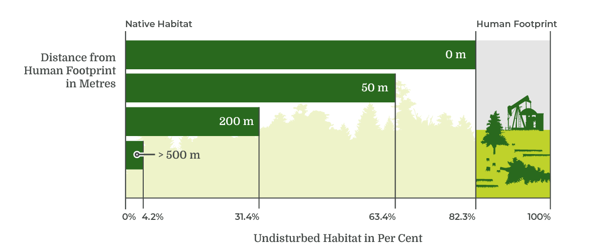 Infographic displaying the percentage of human footprint and interior native habitat at different buffer distances.