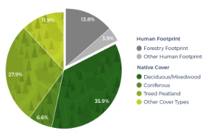 Infographic displaying the per cent cover of different categories of human footprint and native cover.