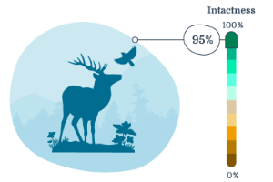 Infographic displaying overall biodiversity intactness in Tolko's Northern Operating Area.