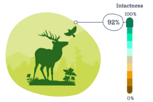 Infographic displaying overall biodiversity intactness in Tolko's Southern Operating Area.