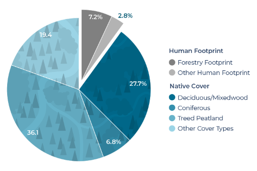 Infographic displaying the per cent cover of different categories of human footprint and native cover.